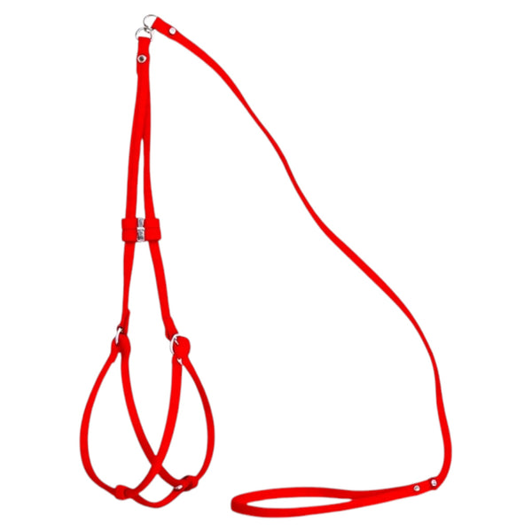 Canvas Step-in Red