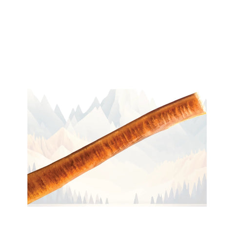 Bully Sticks Jumbo 12"
