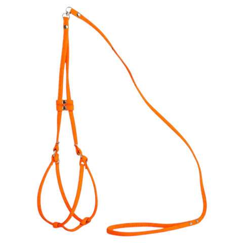 Canvas Step-in Orange