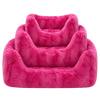 A/P Carnation