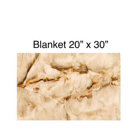 A/P Caramel Rabbit