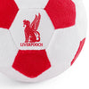 Soccer Ball Liverpooch