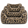 A/P Brown Leopard