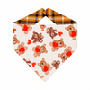 Bandanas Teddy Bear