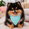 Bandanas Sniffany