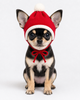 W/Y Hat Santa