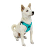 M/F Harness T