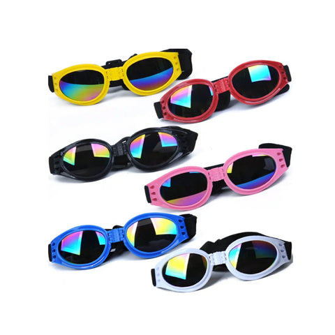Goggles Large