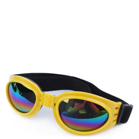 Goggles Large