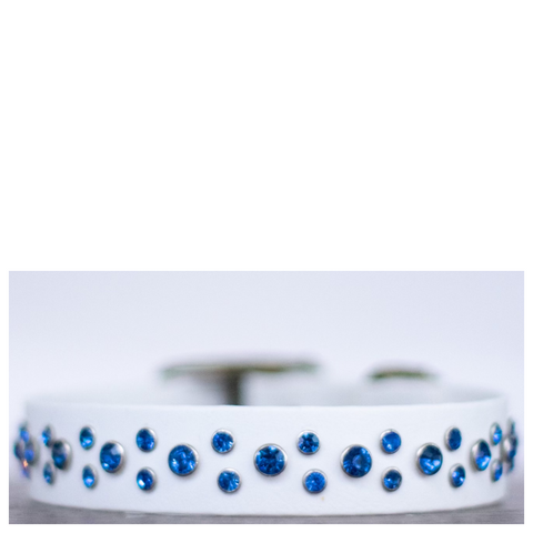 Biothane White Blue