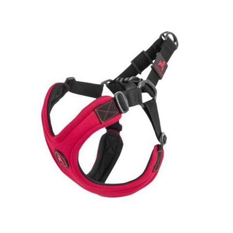 dog harness