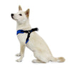 M/F Harness Blue