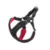 M/F  Harness B