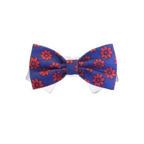 Bow Tie Preston
