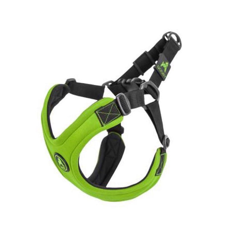 dog harness