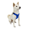 M/F Harness Blue