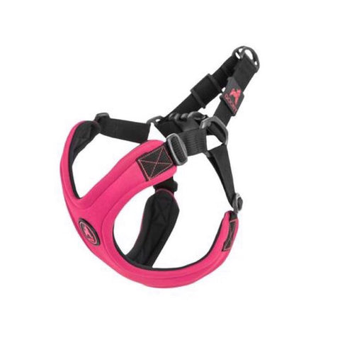 dog harness