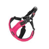 M/F Harness P