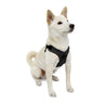 M/F  Harness B