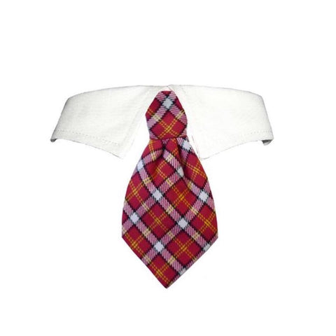Richie Tie for dogs