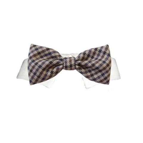 Bow Tie Ethan