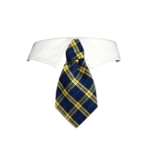 Tie Harry