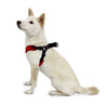 M/F Harness R