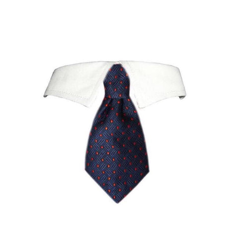Colton Tie for dogs