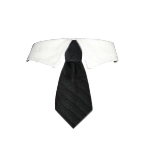 Tie David
