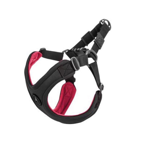 dog harness