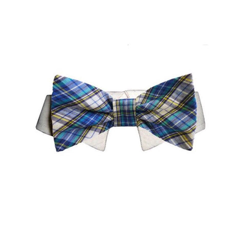 Issac Bowtie for dogs