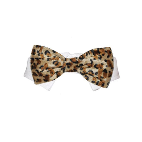 Bow Tie Roberto Tan