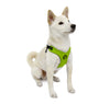 M/F Harness L