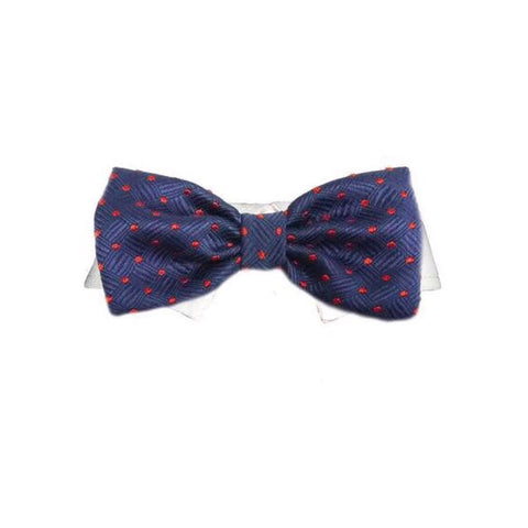 Andrew Bowtie for dogs