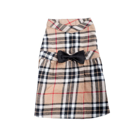Burberry tan dress worthy dog