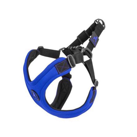 dog harness