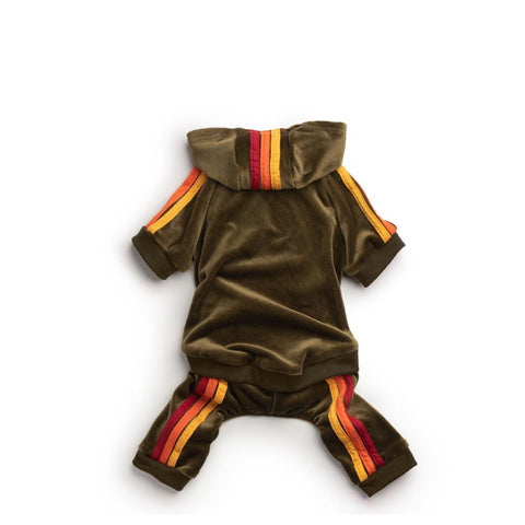 F/D Brown Jogger