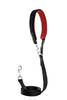 M/F  Harness B
