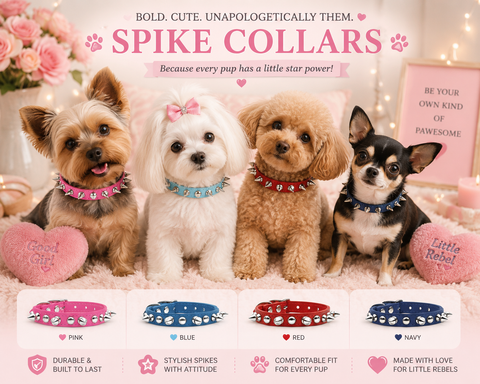 Spiked Collars