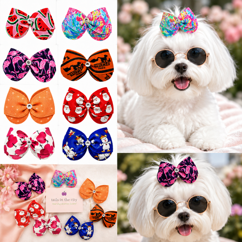 Hair Bows / Sunglasses