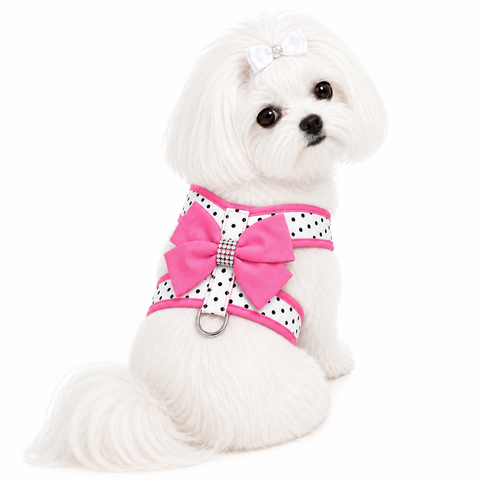 Swarovski Polkadot Fuchsia