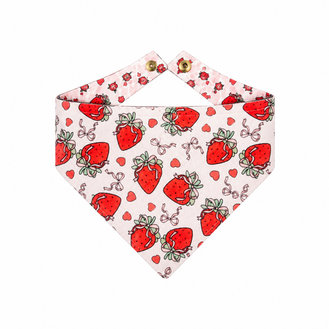 Bandanas Strawberries
