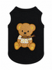 Chewy Teddy Bear