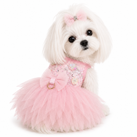 Daisy Ombre Pink