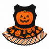 A/P Pumpkin