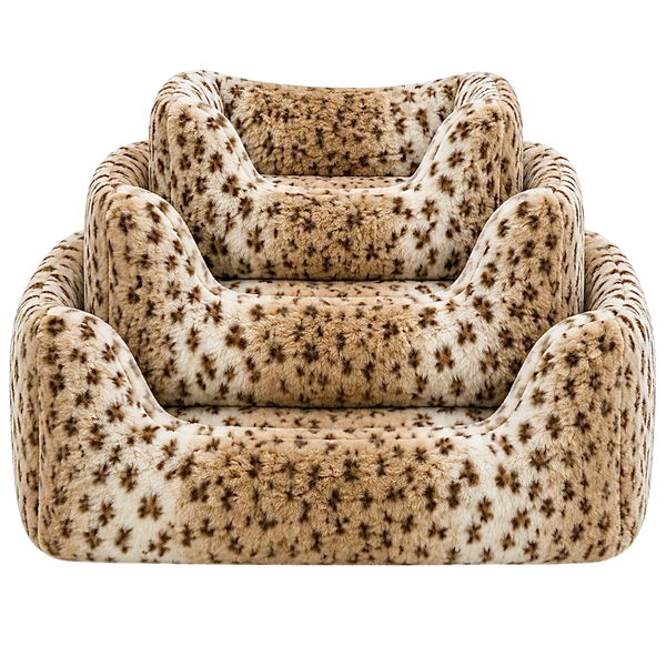 A/P Snow Leopard
