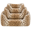 A/P Snow Leopard
