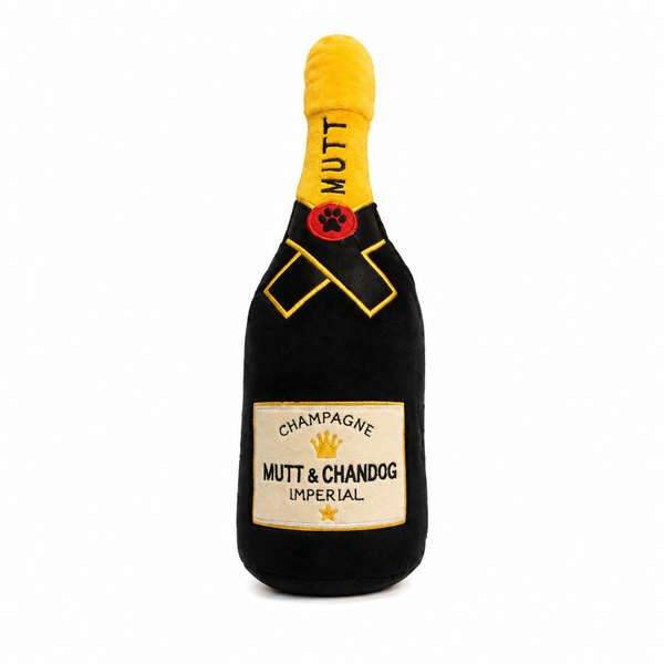 Champagne Mutt Chandog