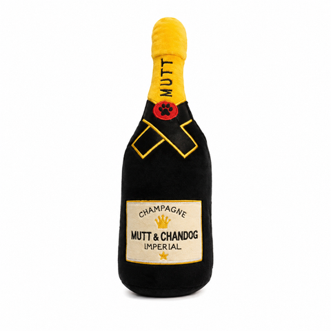Champagne Mutt Chandog