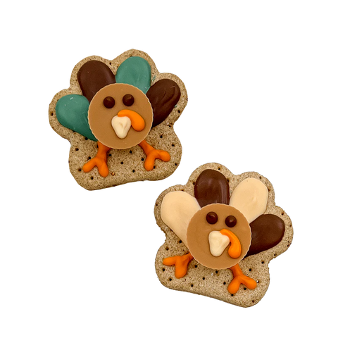 A/P Turkey Cookies